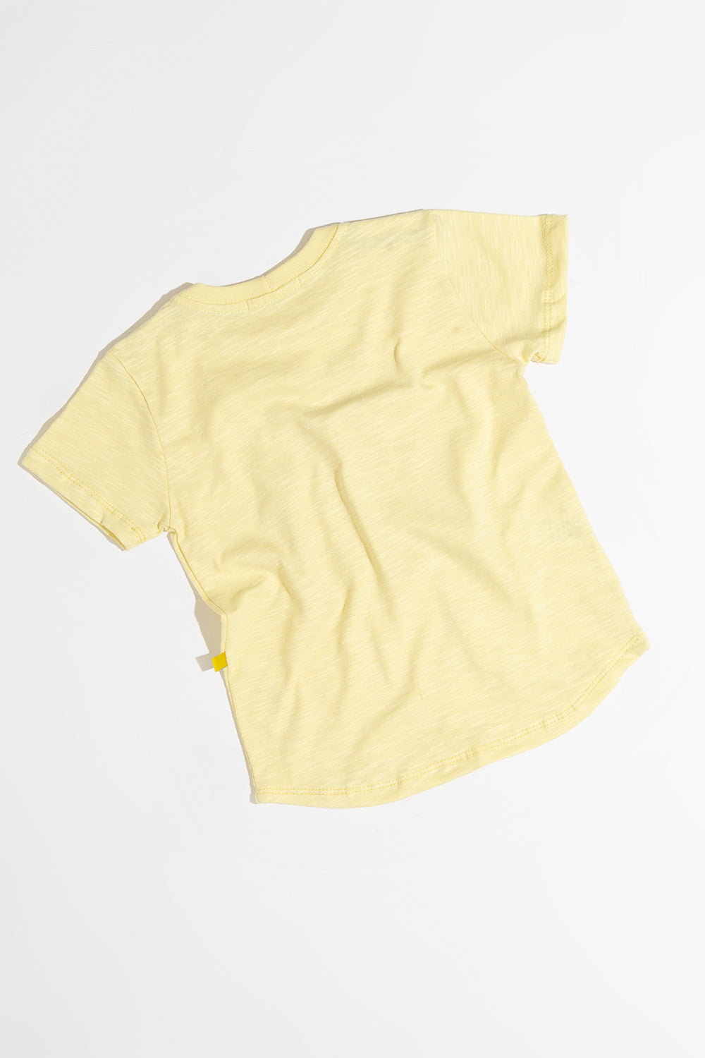 Camiseta Flamê Star