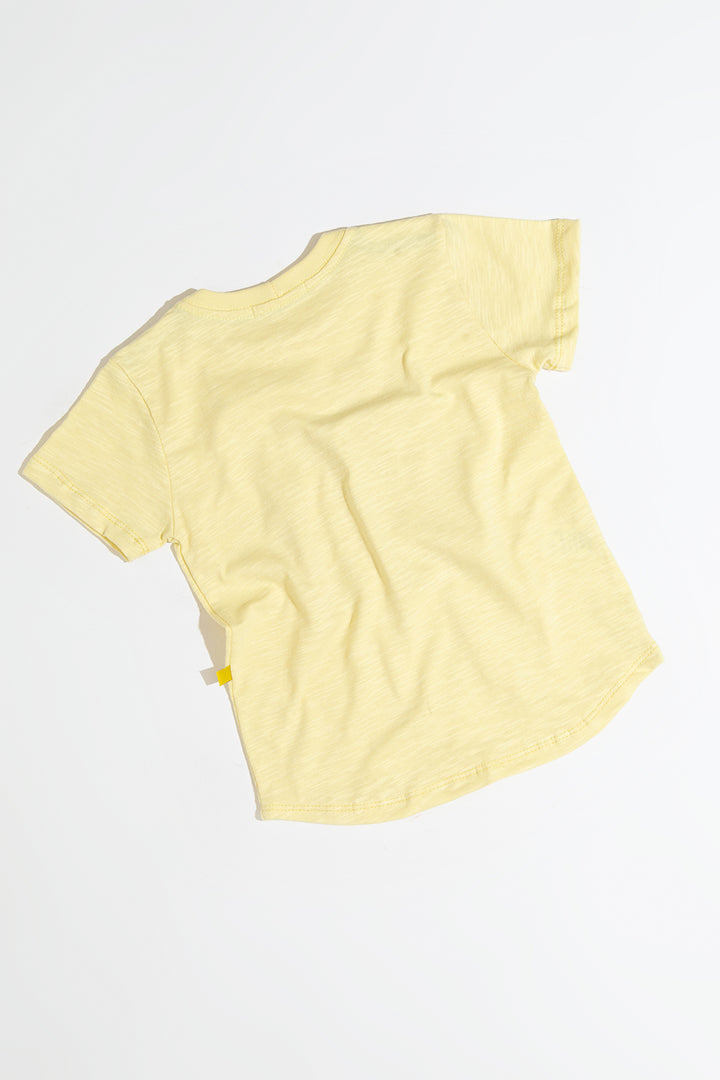 Camiseta Flamê Star