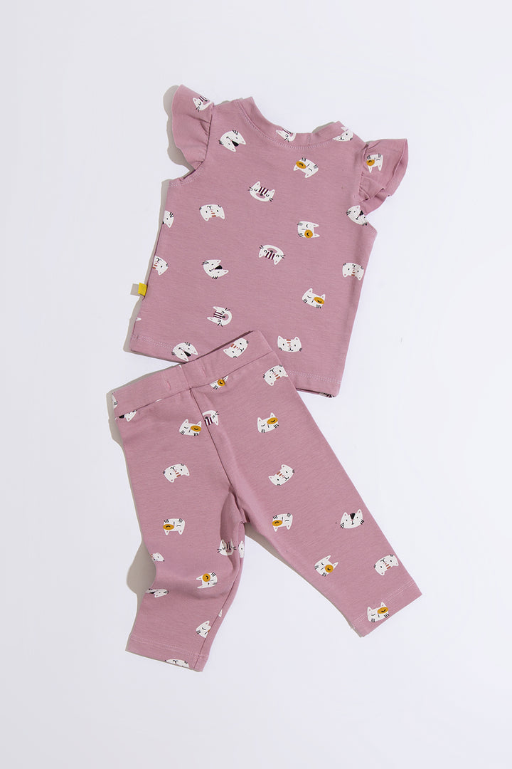 Conjunto Gatinho Bebê