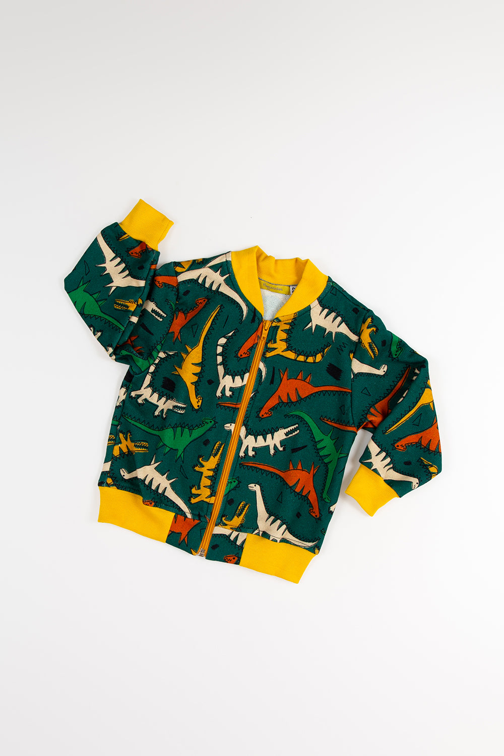 Conjunto Moletom  Dino