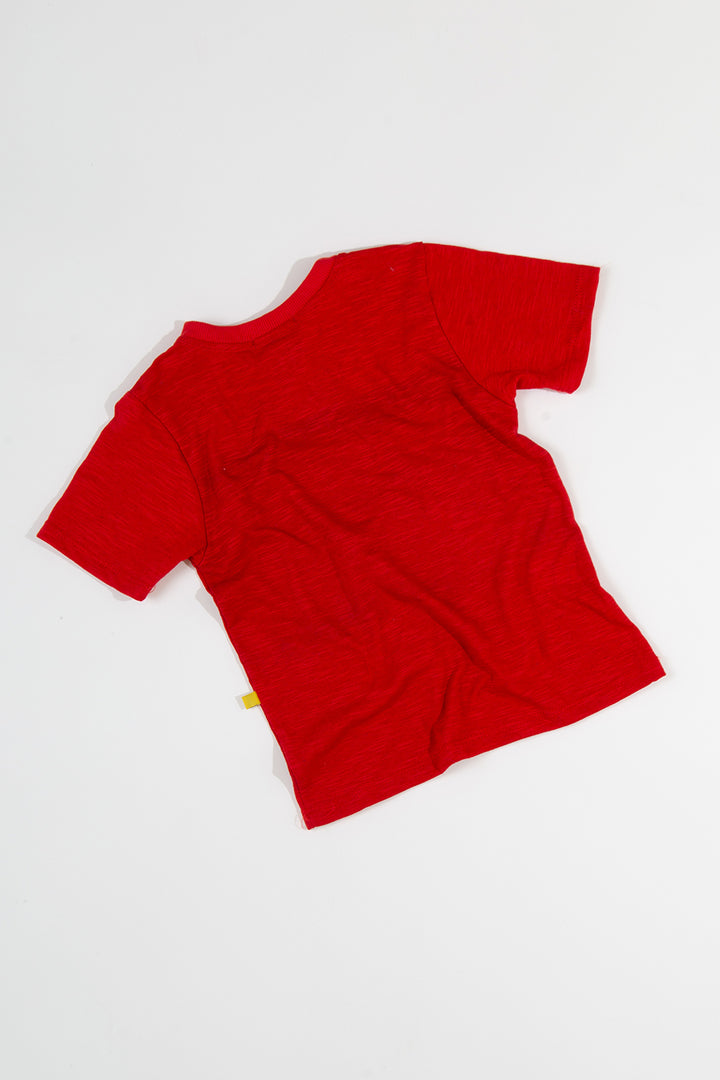 Camiseta Gregório Tomate