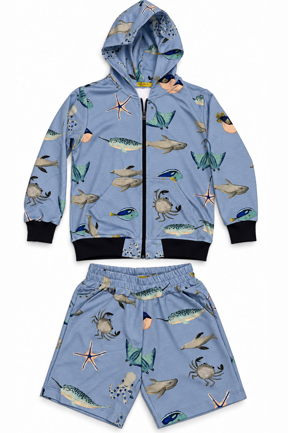 Conjunto Moletinho Oceano