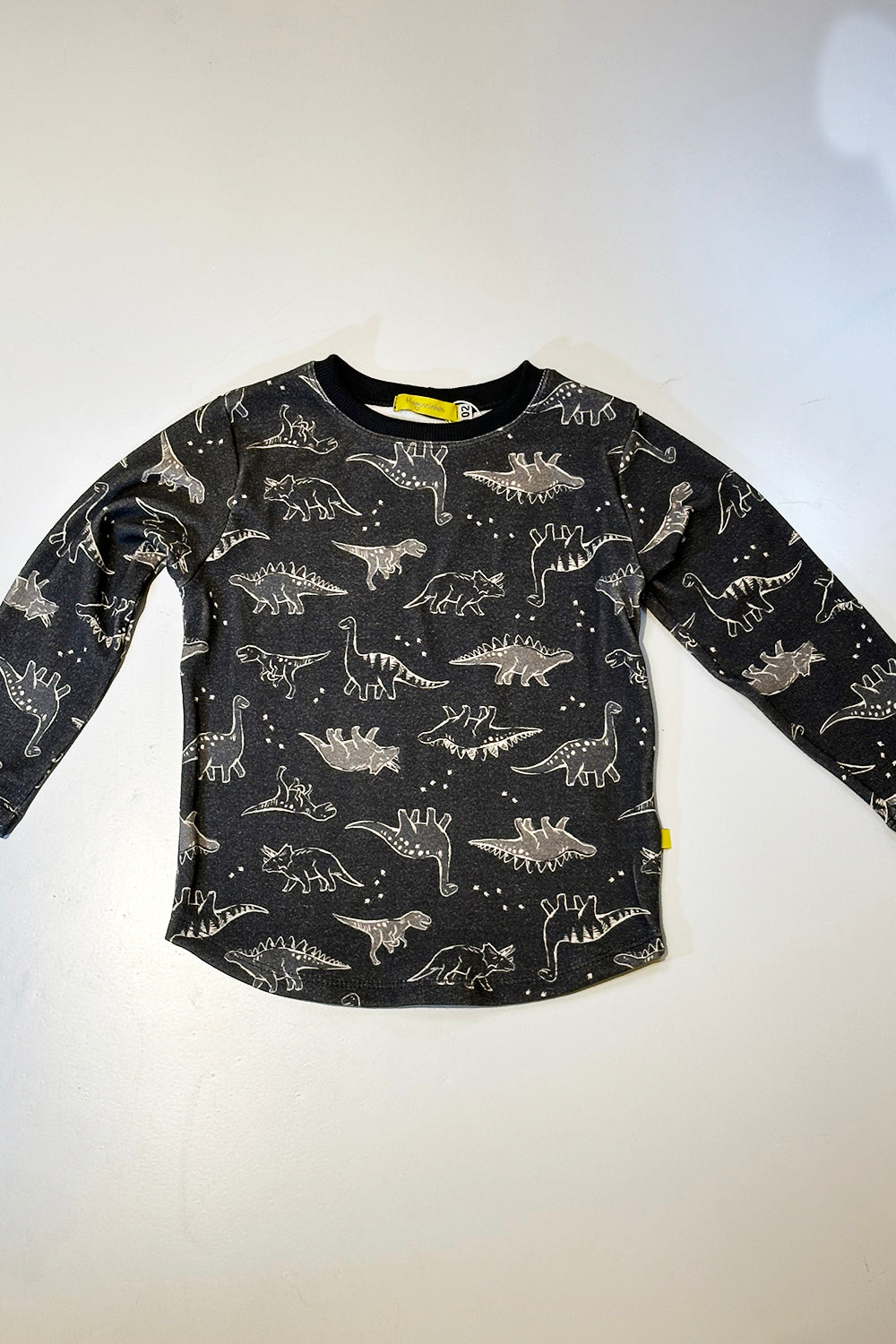 Camiseta Infantil Dino ML
